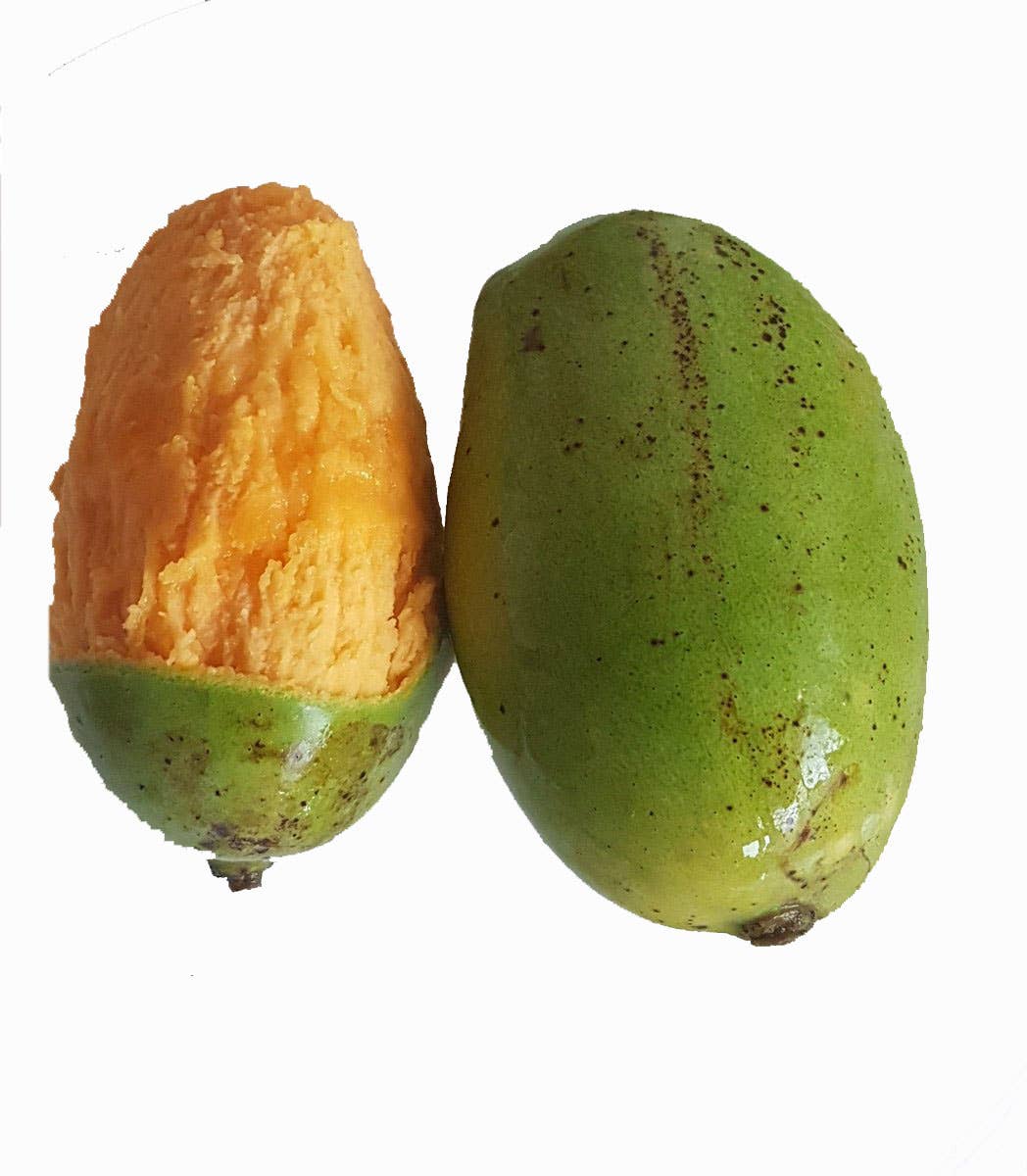 BIOGOUT - Wholesale Dried/Dehydrated Fruit - Organic Dried Mango, no added sugar - 10kg3