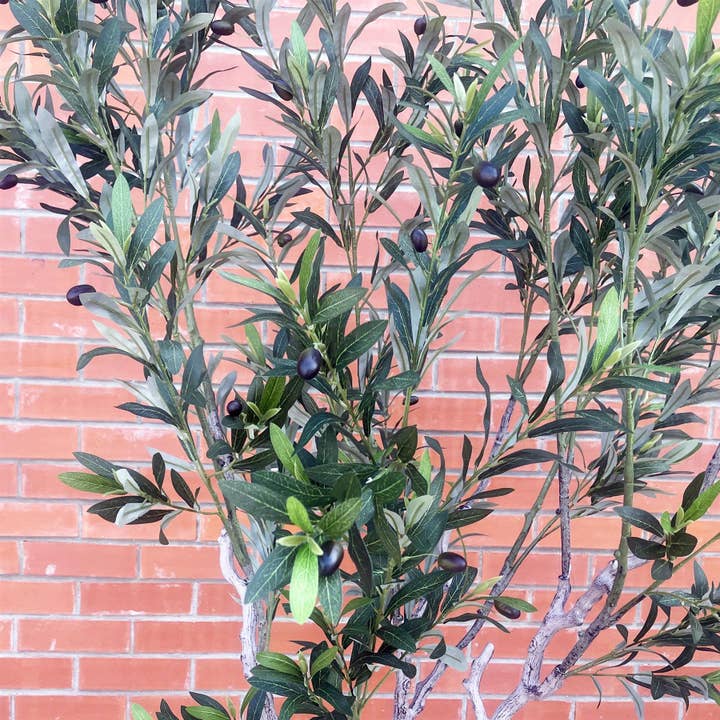 Leaf Design UK LTD - Wholesale Artificial plant - 200cm XL Olive Tree1