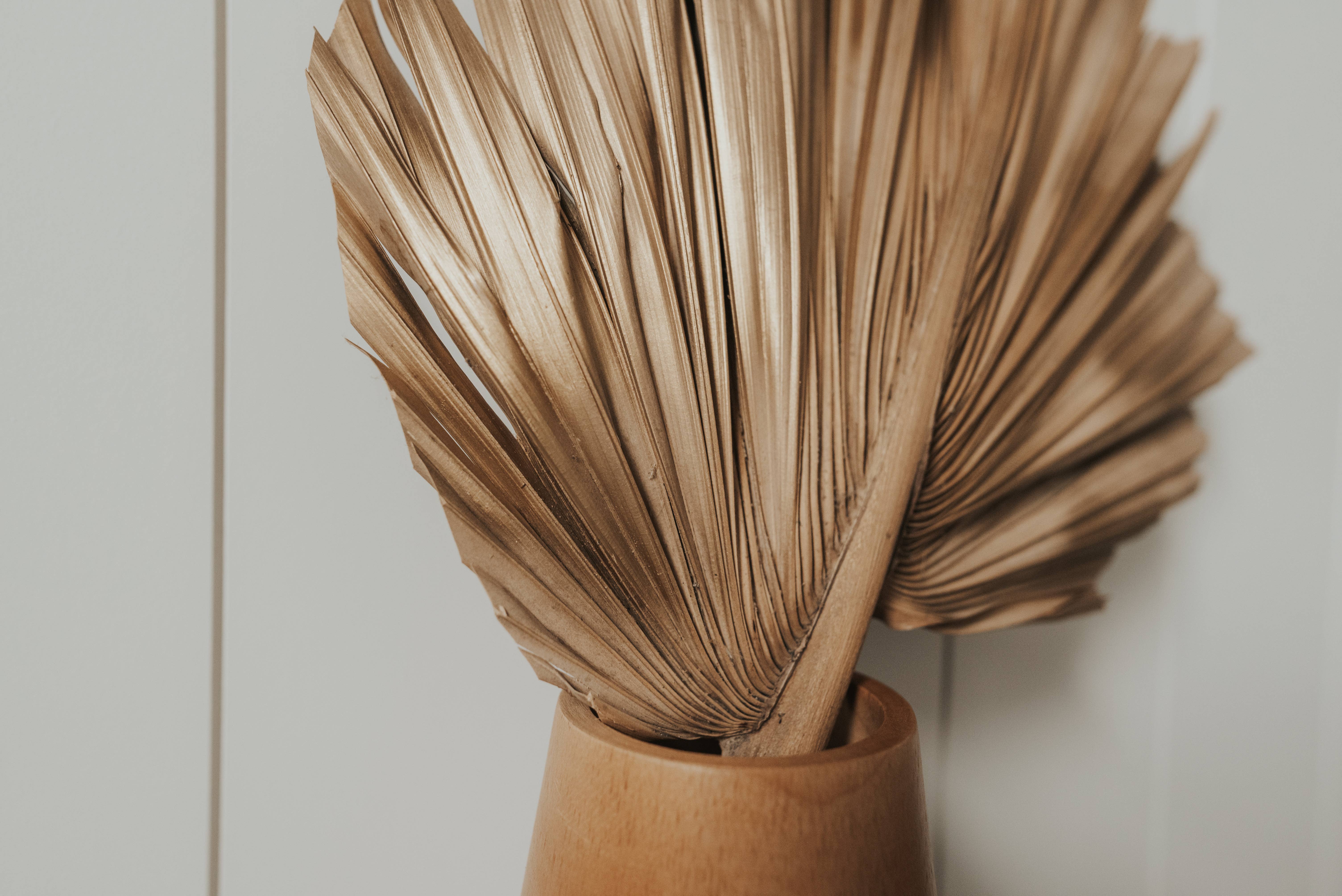 The Blooming Palm - Wholesale Retailer Sample - Home Decor - 14" PINK SunDried Painted Palm Leaf Decor, SAME DAY SHP  0