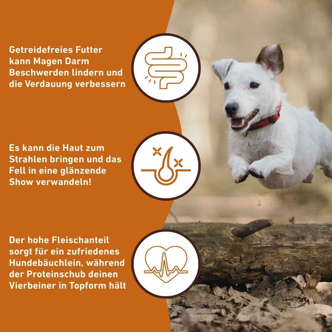 WILDFANG - Wholesale Pet Food - Dog - Adult dry food with game - grain-free6