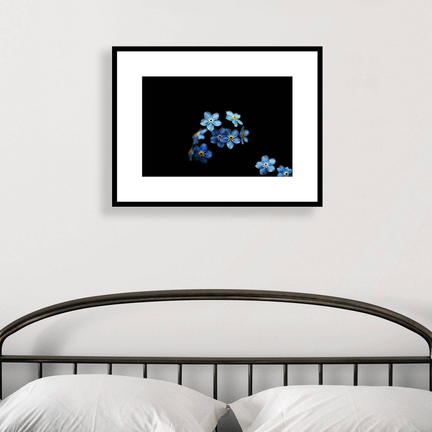 Brooke T Ryan Photographic Art - Wholesale Art Print - Forget Me Nots Art Prints: Blue and Black Floral Photography1