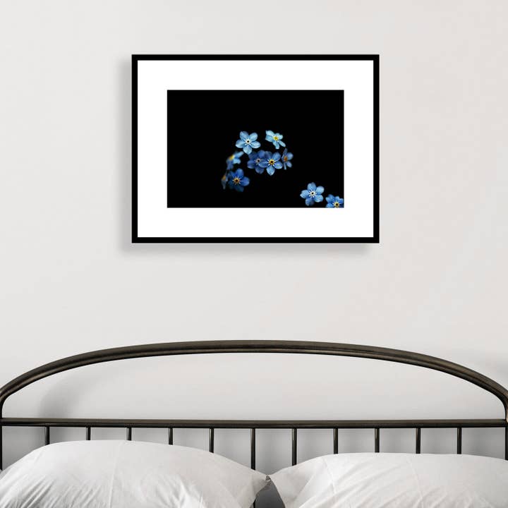 Brooke T Ryan Photographic Art - Wholesale Art Print - Forget Me Nots Art Prints: Blue and Black Floral Photography1