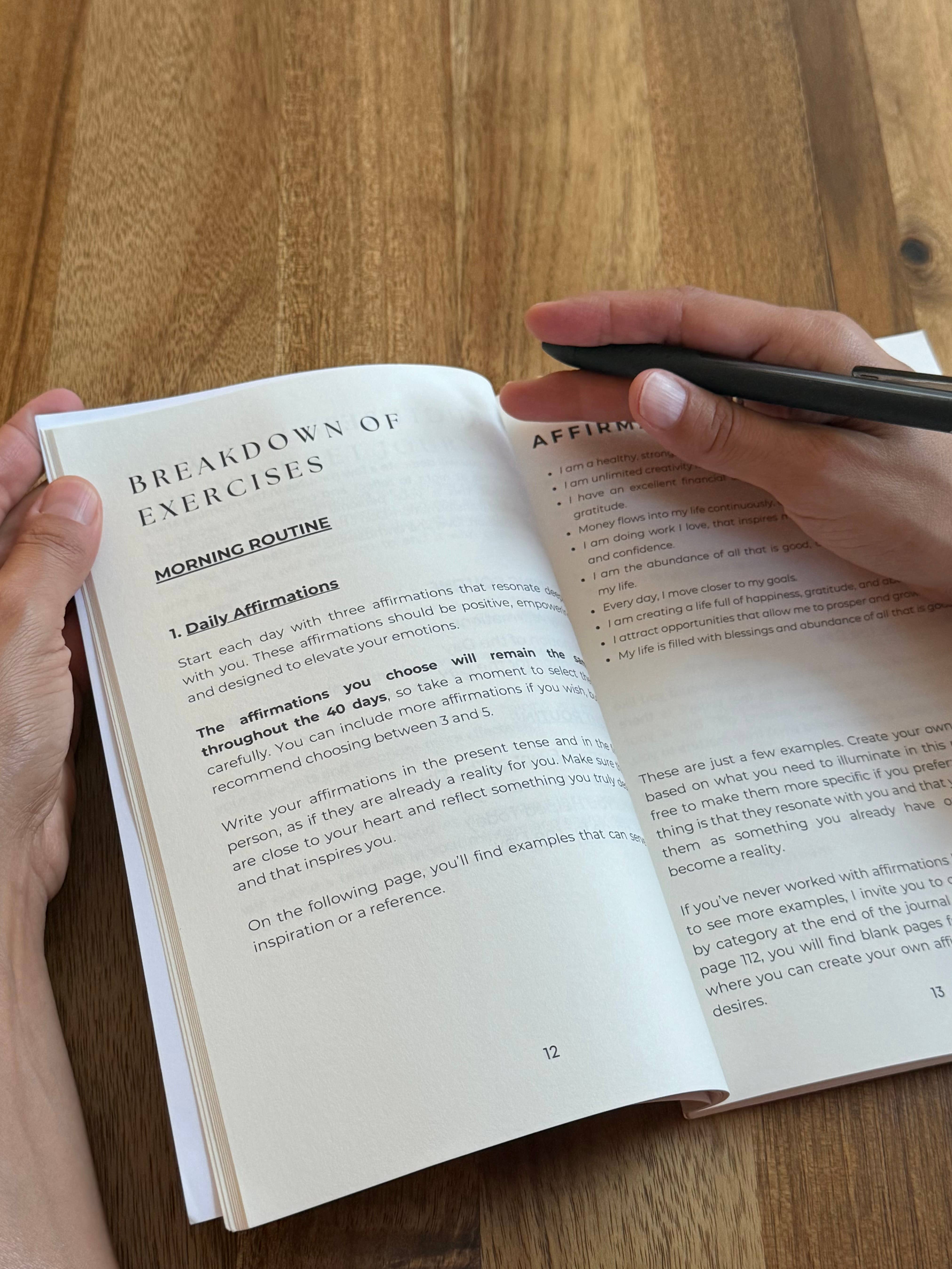 The Momentum Way - Wholesale Journal/Diary - The Mindset Journal: 40 Days to Rewire Your Mind for Success5