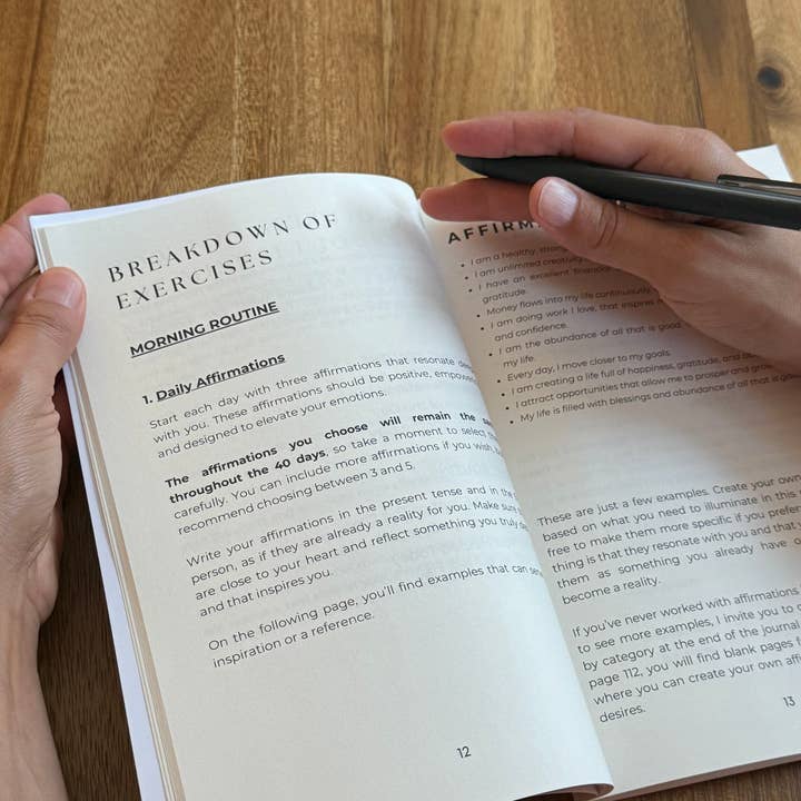 The Momentum Way – wholesale Journal/diary – The Mindset Journal: 40 Days to Rewire Your Mind for Success5