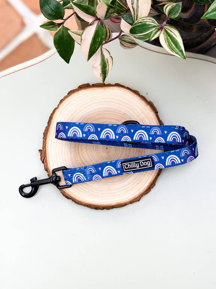 Blue Over The Rainbow Puppy Dog Lead for wholesale by Chilly Dog