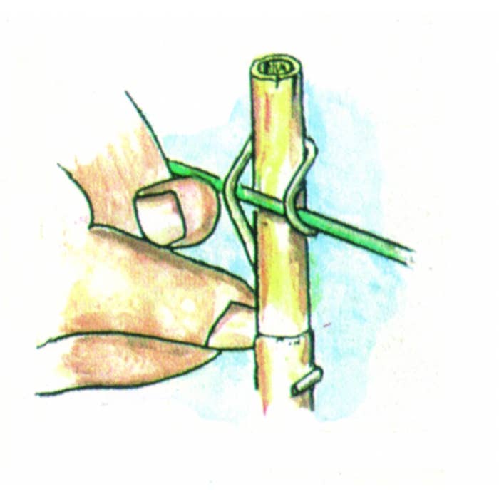 Growstore.nu - Vendita all'ingrosso Attrezzi da giardino - Morsetto per canne di bambù da 10 a 12 mm0