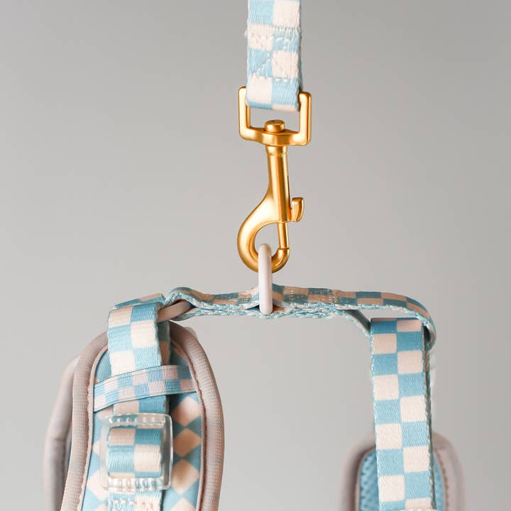 Bop Pop Pets - Wholesale Pet leash – Dog - Checkerboard Dog Leash in Slate Blue | BROOKLYN 4