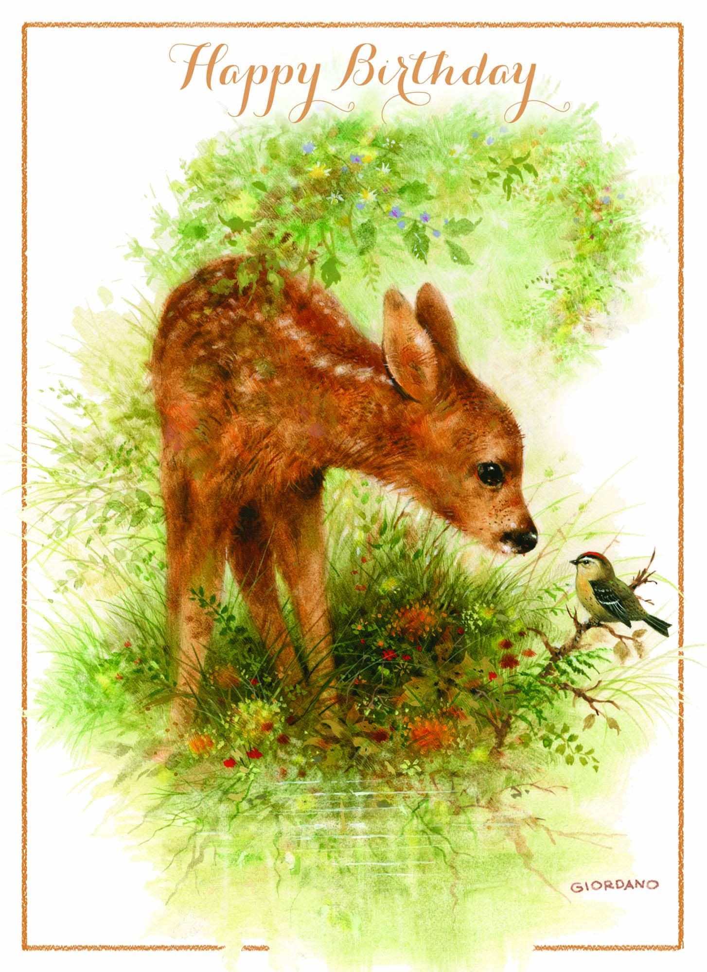 Crown Point Graphics - Vente Cartes d'anniversaire - Cartes d'anniversaire religieuses - Petite faune | 12 cartes6