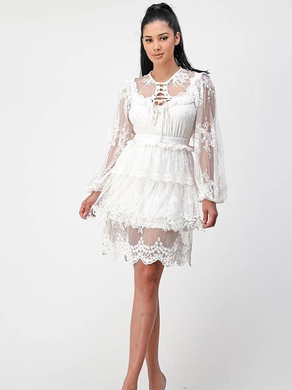 SHOP17 - Wholesale Dress - Women's - Lace crochet mini dress 4543D-A0