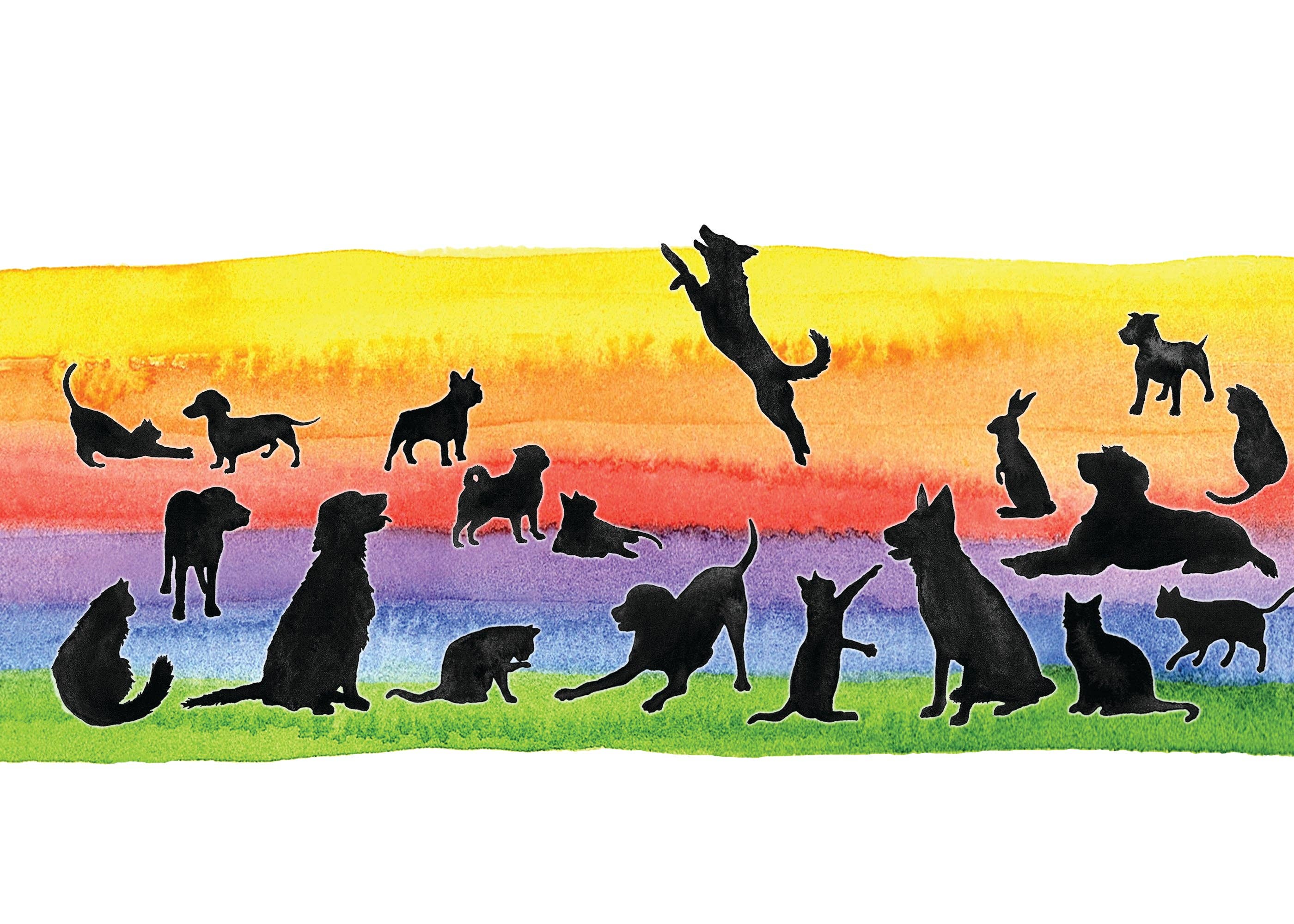 Firefly Sky Design - Wholesale Sympathy Card - NEW! The Rainbow Bridge Pet Sympathy Card
