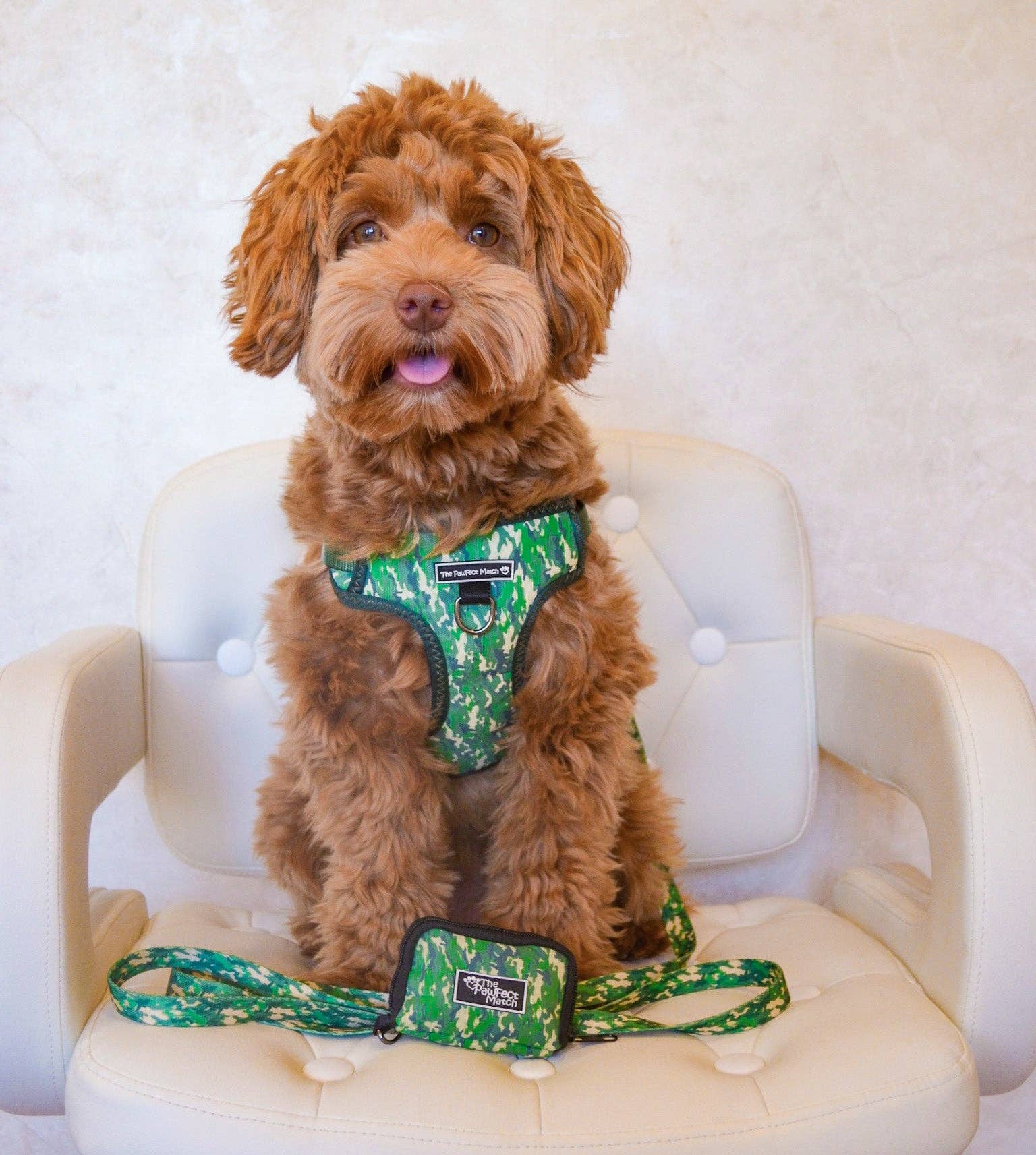 The Pawfect Match - Vendita all'ingrosso Pettorina - Cani - Cablaggio Indognito2