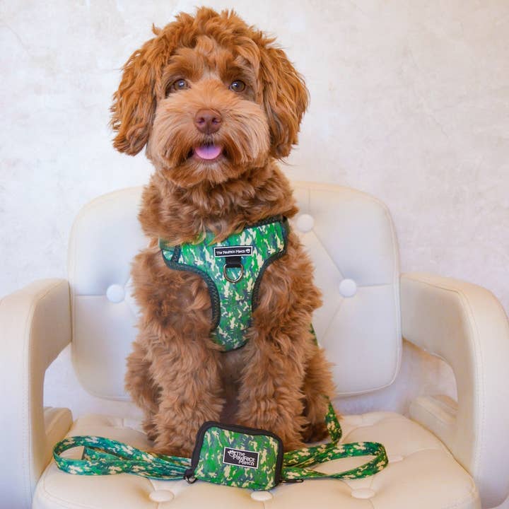 The Pawfect Match - Wholesale Pet Harness - Dog - Indognito Harness2