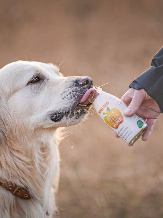Dog Smoothie Immunio Snack Naturale per Cani Senza Zucchero per la vendita all'ingrosso da parte di SmoothieDog