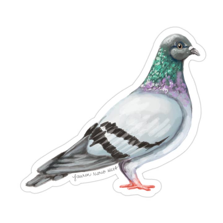 Pigeon, Bird Lovers - vinyl sticker for wholesale by Juniberry Art Co