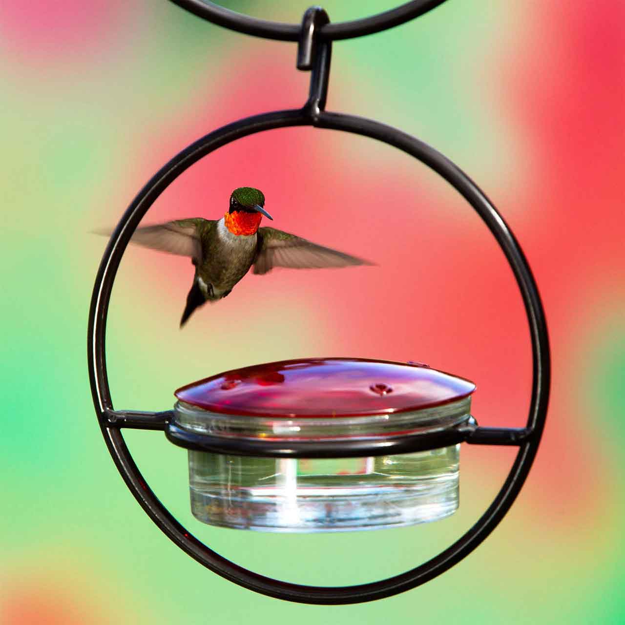 Couronne Co. - Wholesale Bird Feeder - Mosaic Birds Hummble Slim Hummingbird Feeder3