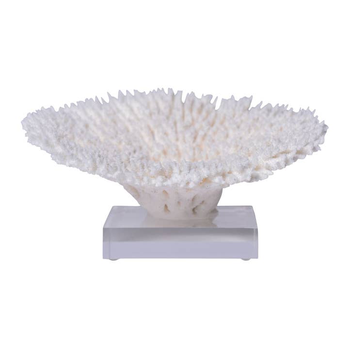 Table Coral Special 12-15 Inch On Acrylic Base for wholesale by Legend Accents