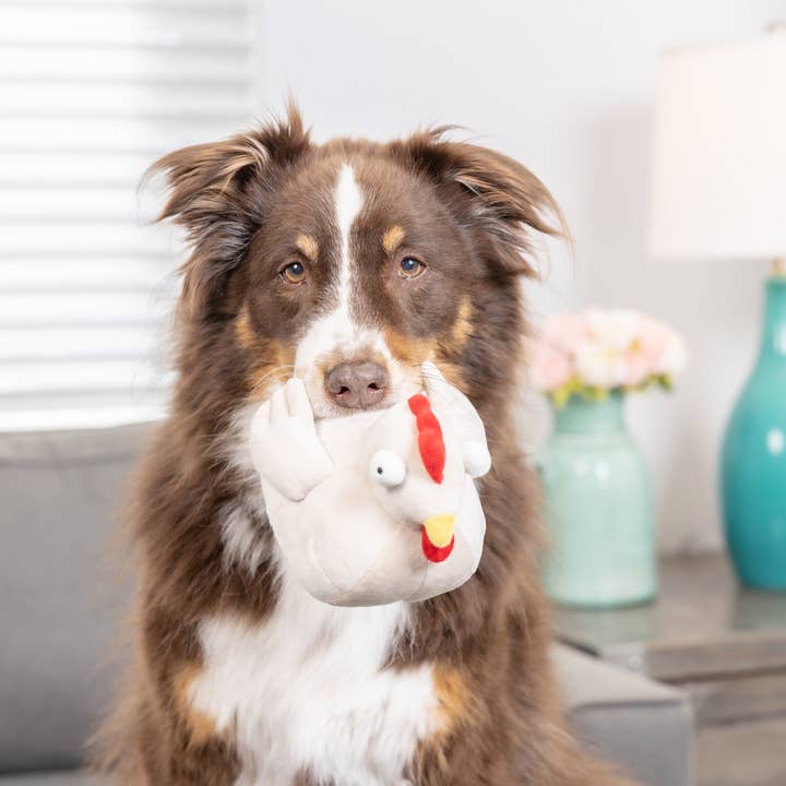 Downtown Pet Supply - Wholesale Knuffelspeeltje - Hond - 2-in-1 knuffelspeelgoed met haaien en kippen9