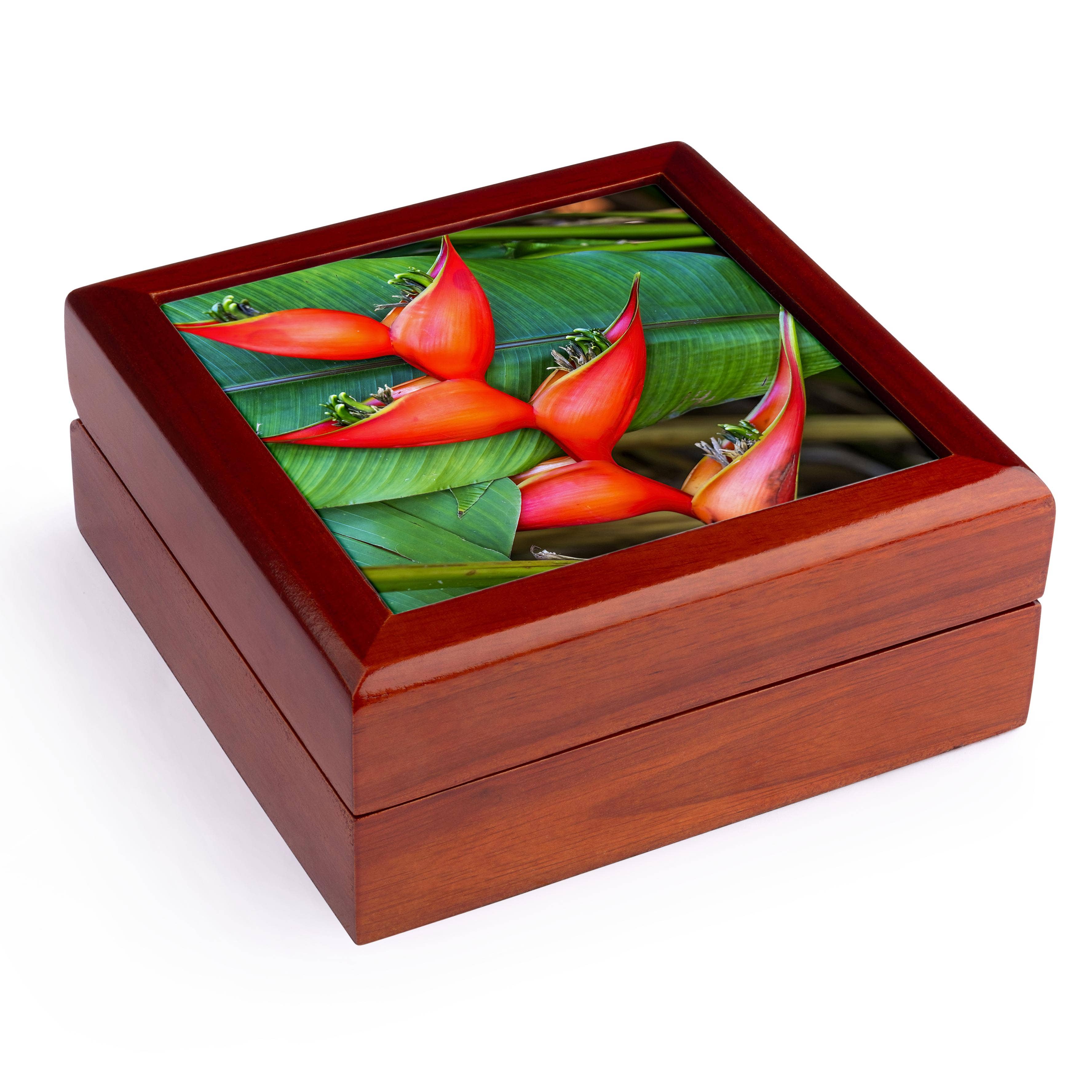 3dRose – wholesale Jewellery box/organiser – 3dRose, Red Heliconia Rostrata, Botanic Garden, Coral Gables, Florida., Jewelry Box0