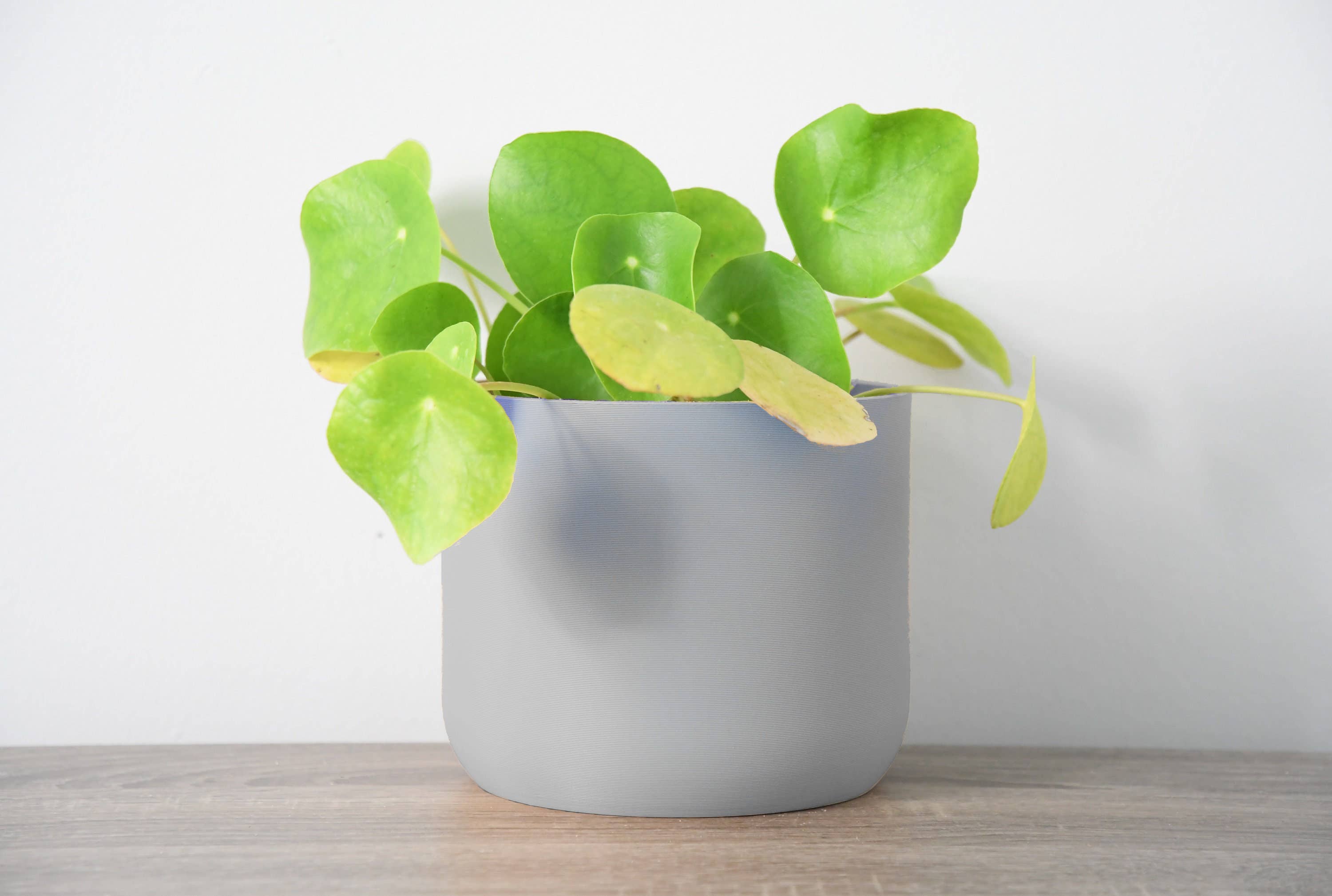 Miss Planty Pants - Wholesale Plant Pot - The Simple Planter in Steel Gray1