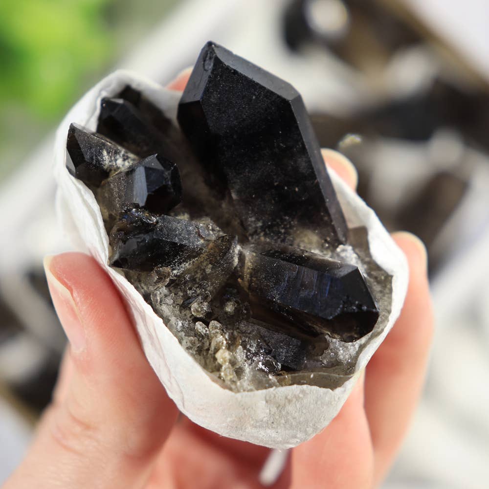 Natures Artifacts Inc - Vendita all'ingrosso Vetrina per rivenditori - Bellezza e benessere - Cluster di Quarzo Fumé in Vassoio (Piccolo)7