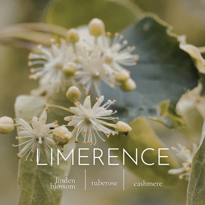 LIMERANCE for wholesale by Maison Des Animaux