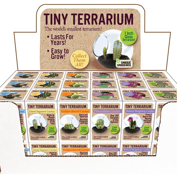 Silver Circle Products - Wholesale Retailer Display - Home & Living - Tiny Terrarium Cactus Counter Display with 6 Varieties