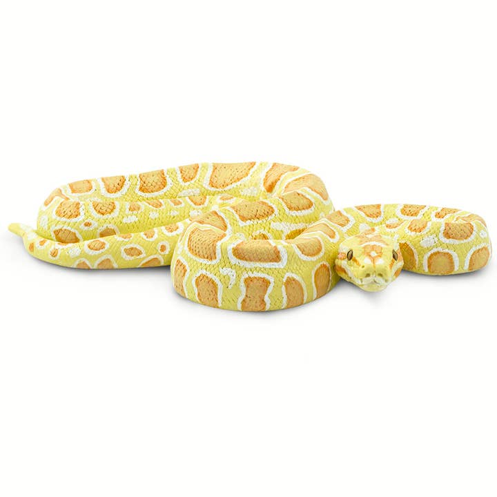 Safari Ltd. - Wholesale Decorative Figurine - Albino Burmese Python - 1002501