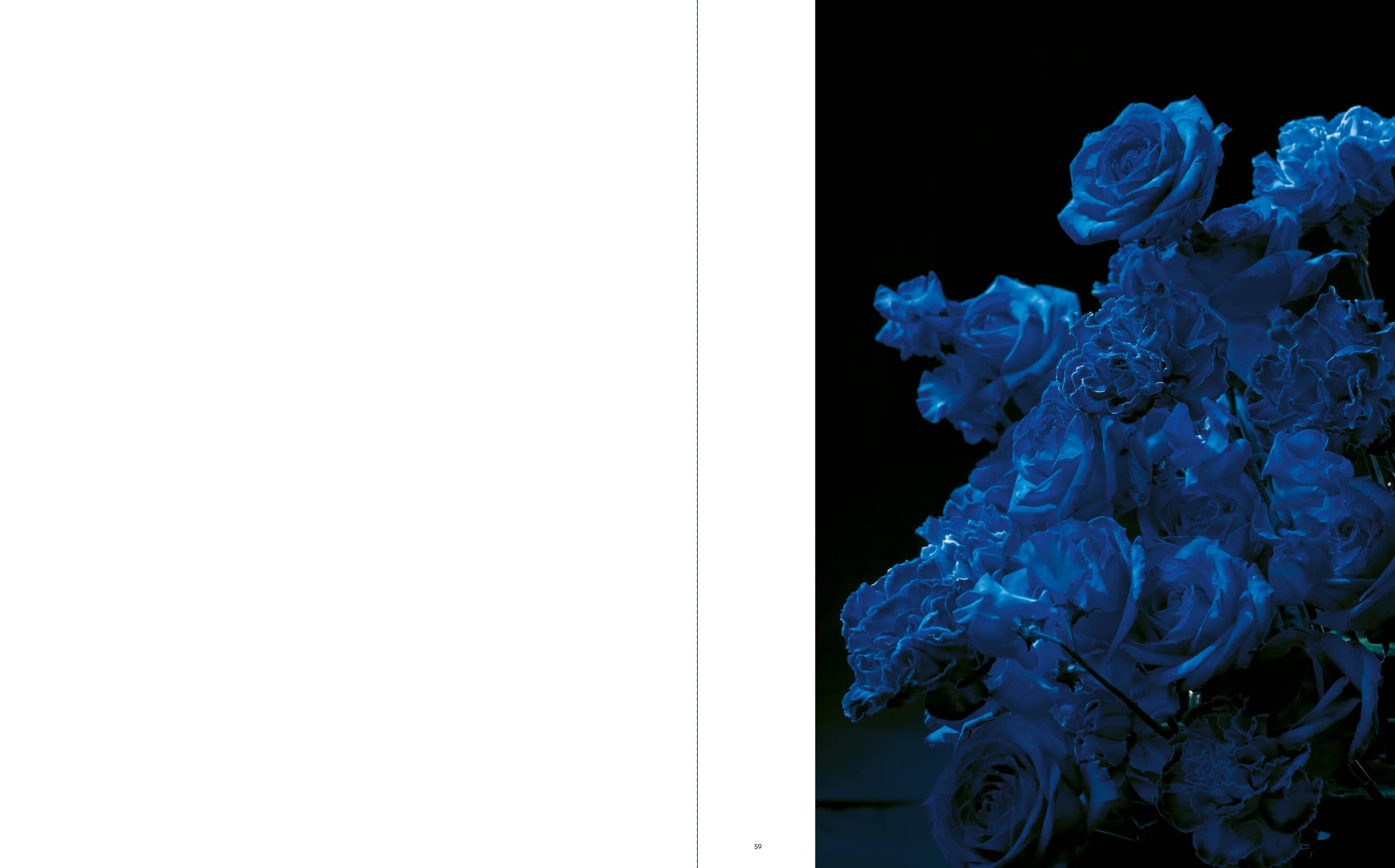 Penguin Random House LLC - Wholesale Display Book - Sakiko Nomura2