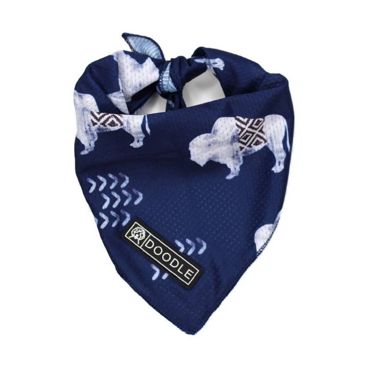 BLUE BUFFALO for wholesale by Doodle Pet Design Company