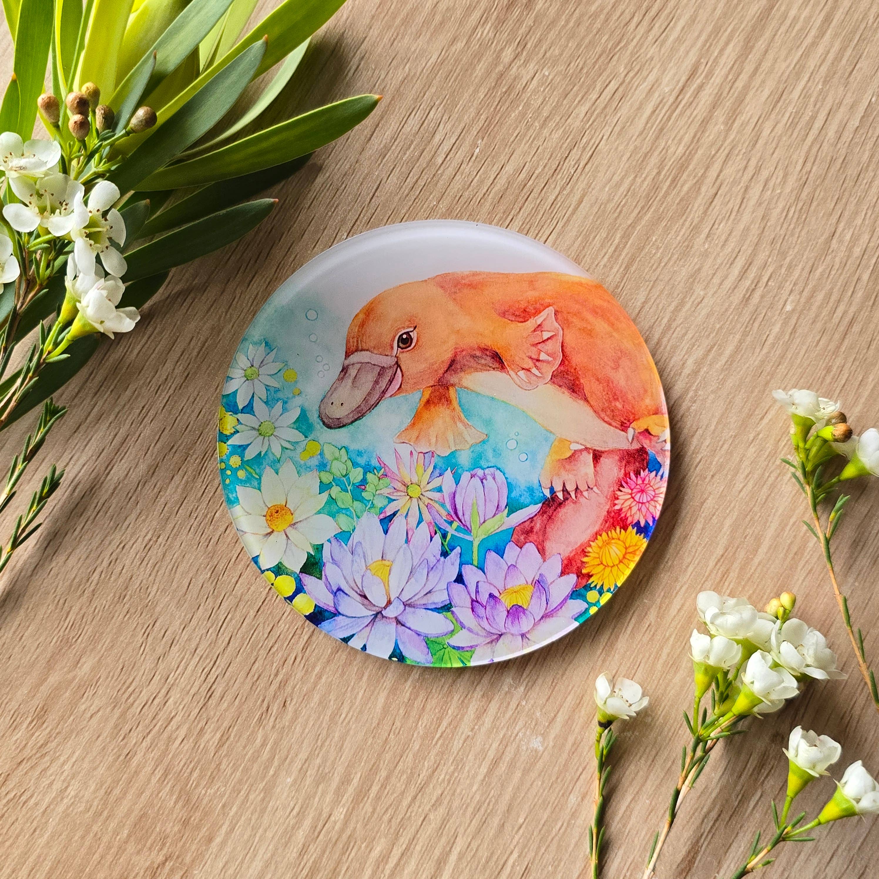 Watercolour By Cat - Wholesale Coasters - Australian Animal Art Coaster6