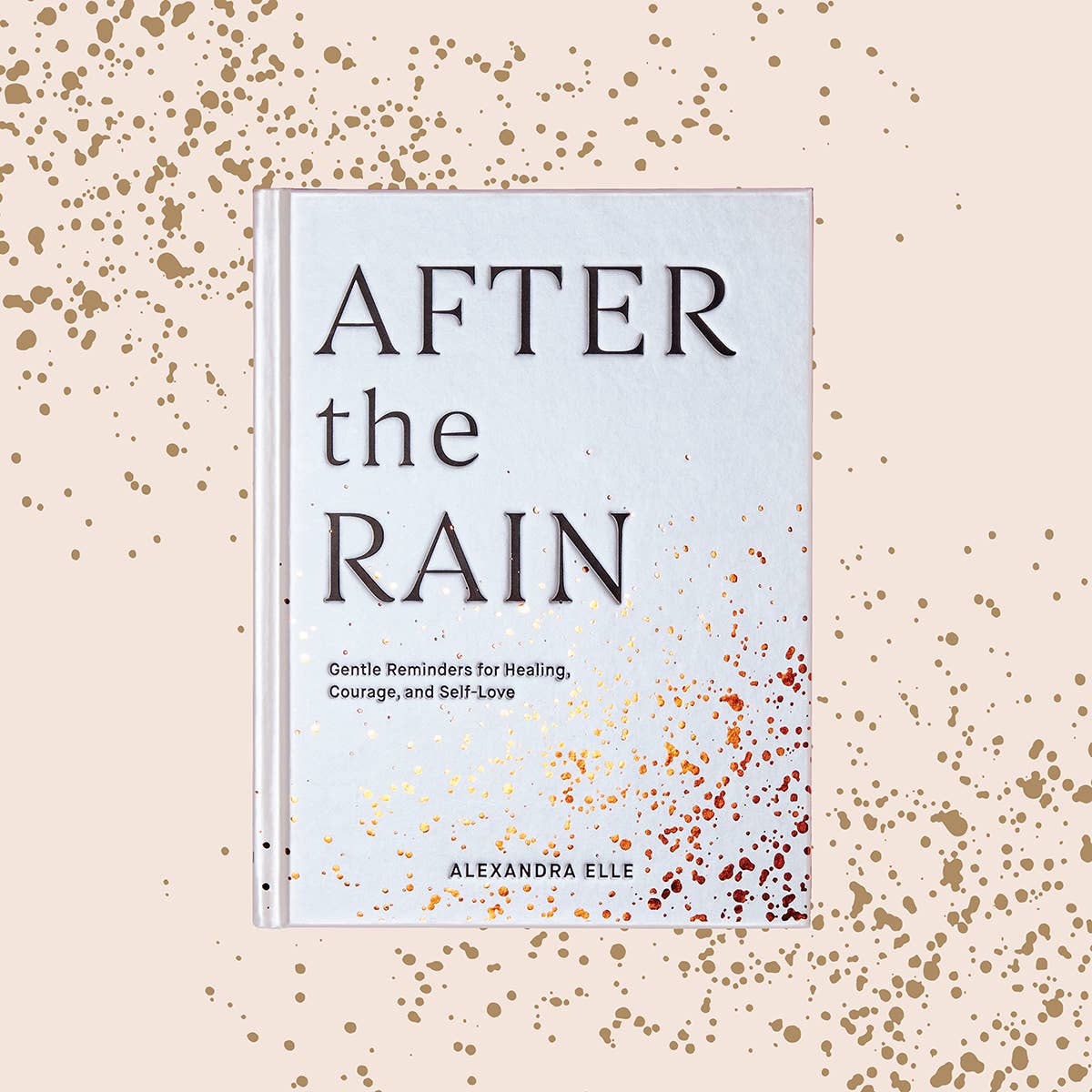 Chronicle Books - Wholesale Self-Help & Personal Development - After the Rain2