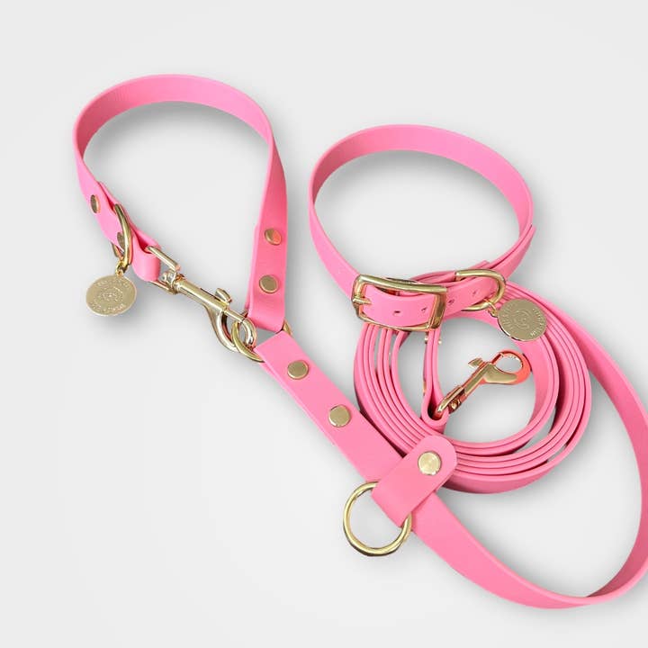 PRÊT-À-PUPPY - Wholesale Pet collar – Dog - Rosé - Original Collar3