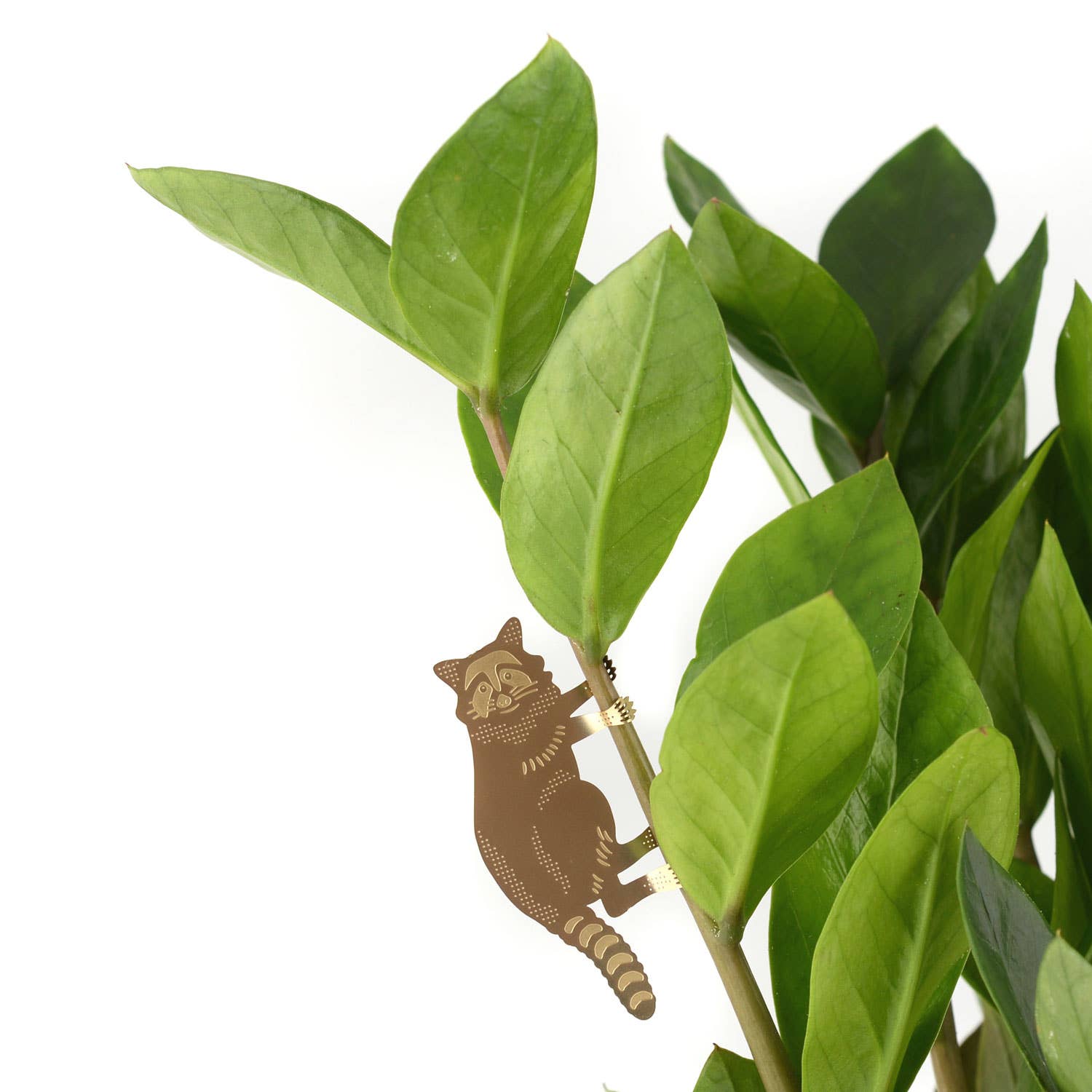 Another Studio UK - Wholesale Ornament - Plant Animal - Raccoon, Plant Hugger Decoration3