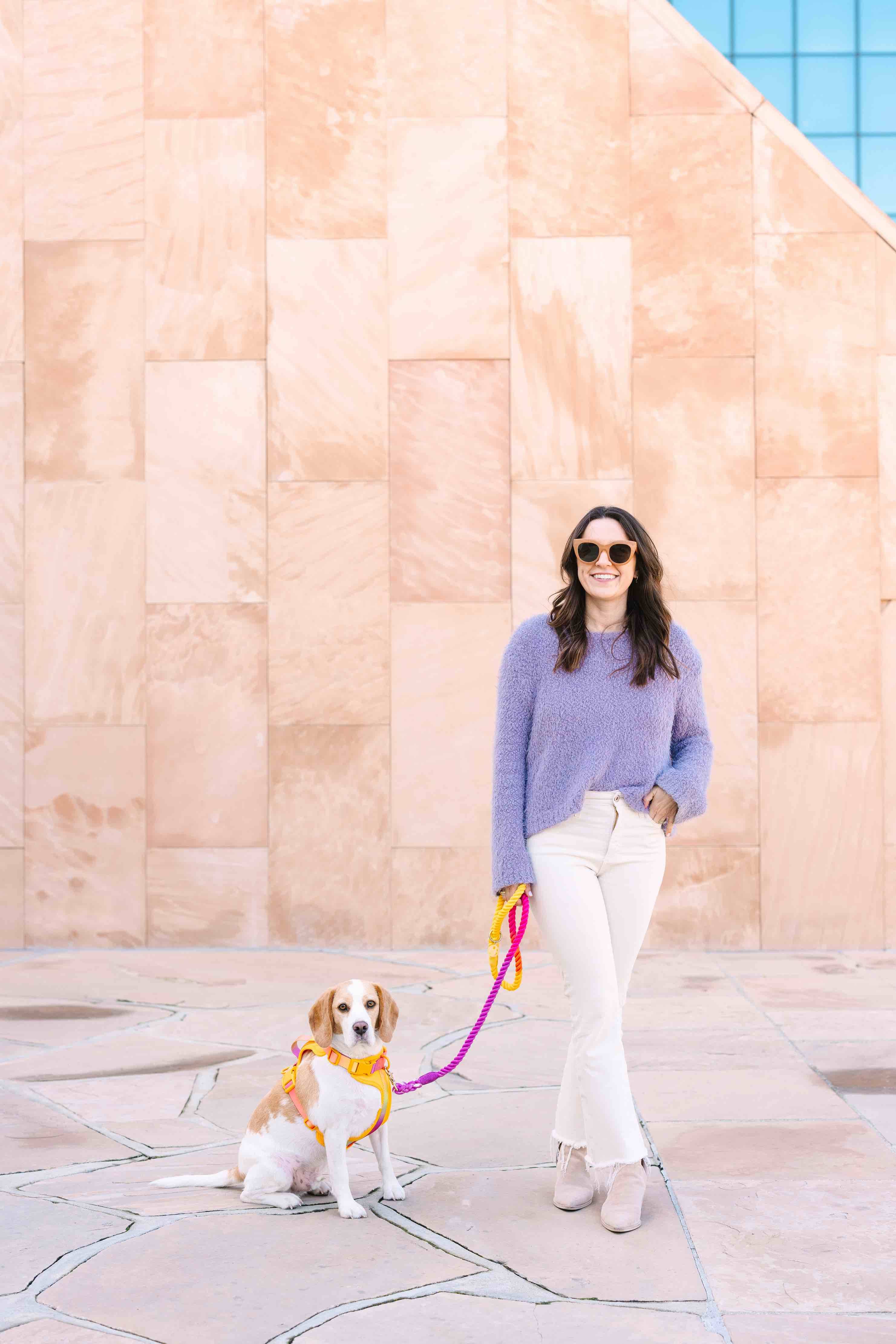 Pink Papyrus | Premium, Durable, & Stylish Dog Products - Wholesale Pet Harness - Dog - Kenna Dog Harness | Yellow Dog Harness | No Pull Dog Harness10