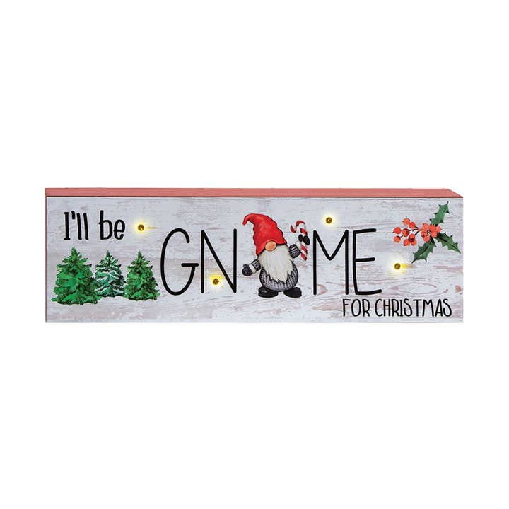 Bright Ideas - Vendita all'ingrosso Decorazione natalizia - GNOMO per NATALE Blocco con Luce LED0