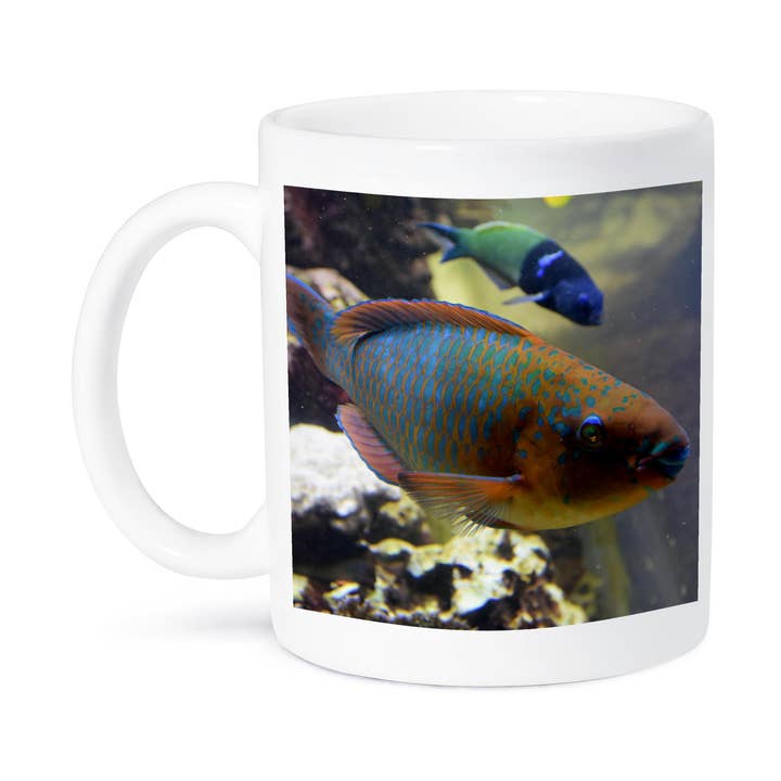 3dRose - Wholesale Coffee Mug - 3dRose, colorful parrotfish animal fish aquarium, Mug8