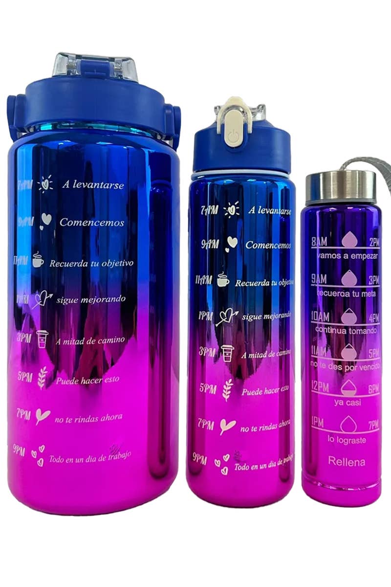 Cap Zone - Wholesale Water Bottle - Metallic Ombre 3 PC Sippy Straw Tumbler Water Bottle Cup Set7