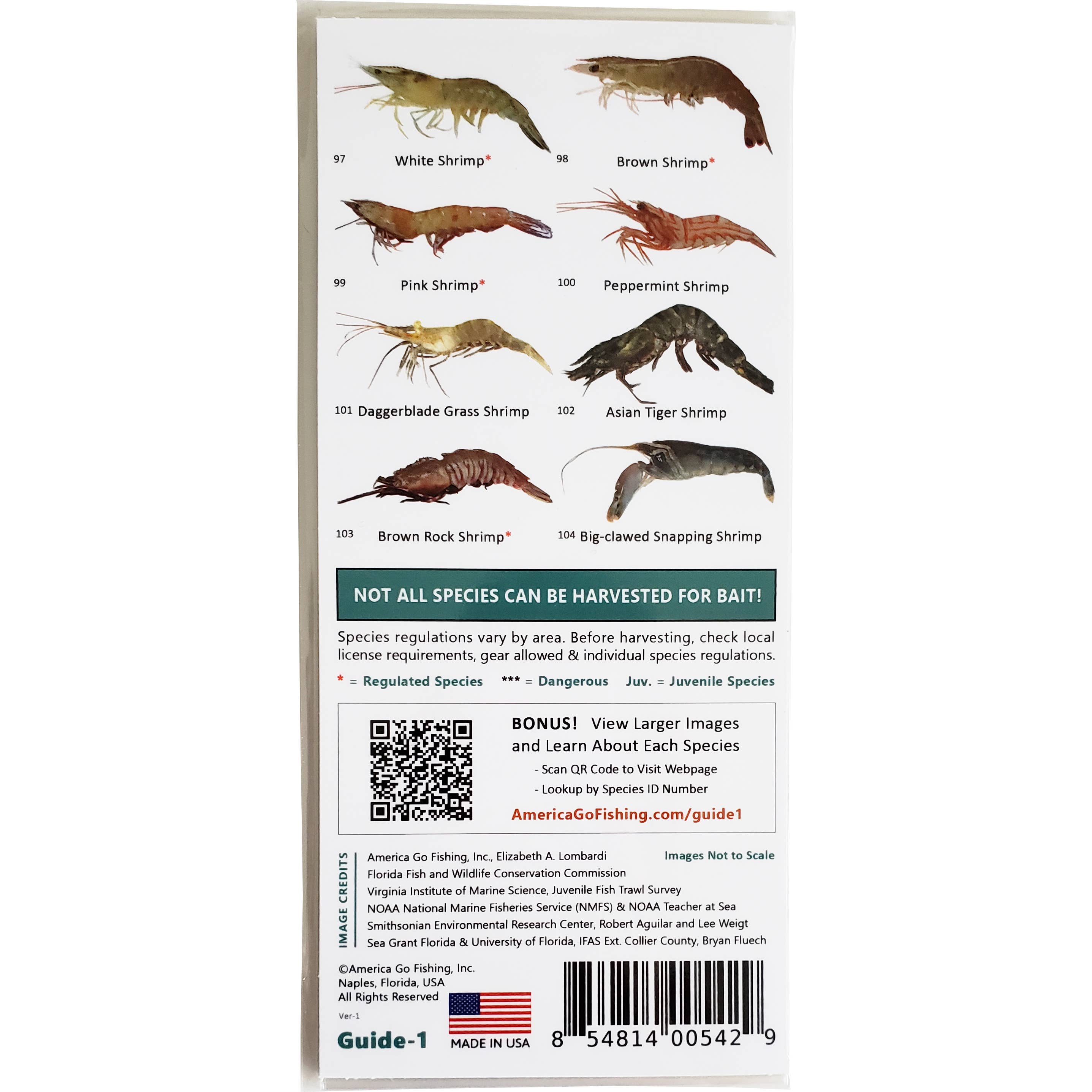 America Go Fishing - Wholesale Nature & Outdoors - Bait Catching Fish and Sea Life Guide - So. Atlantic2
