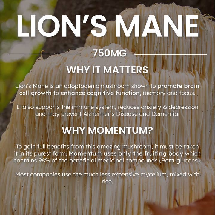 Momentum - Wholesale Protein/Superfood Powder - Longevity Protein Shake, Vanilla15