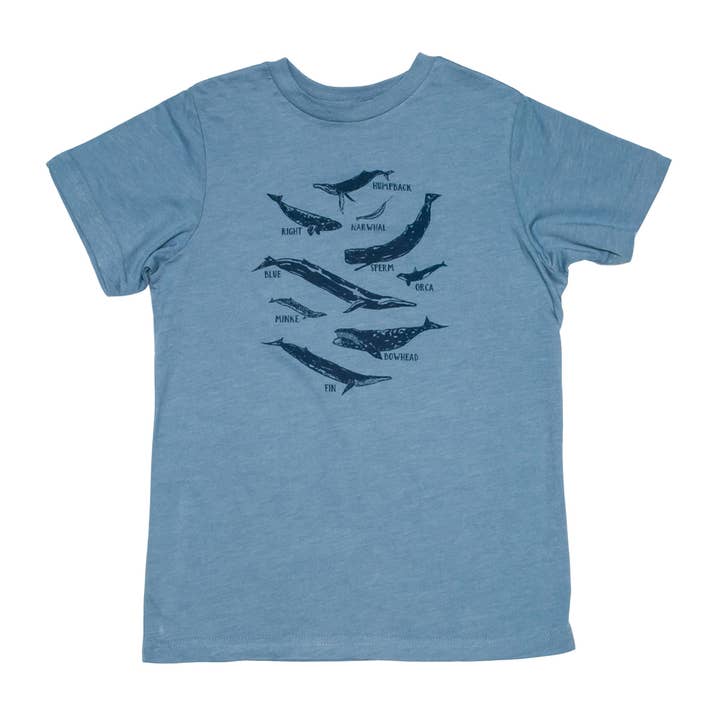 Kids Whale Species Chart Tee for wholesale by Cinder + Salt