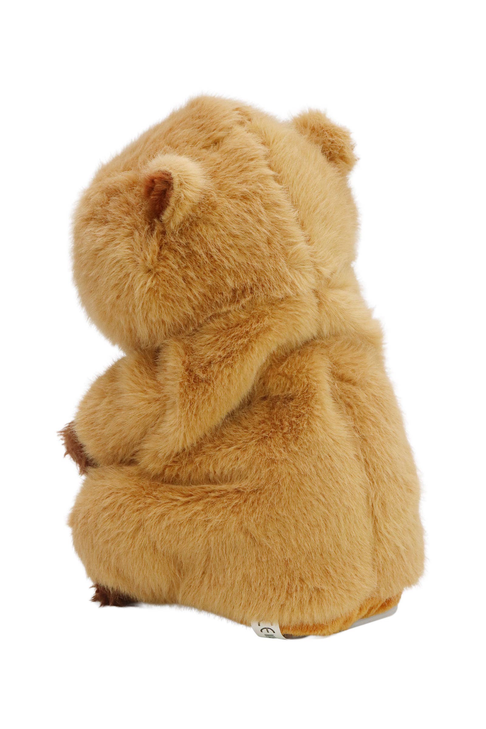 Assorted Capybara Sound Mimicking Dancing Toy for wholesale on Faire4