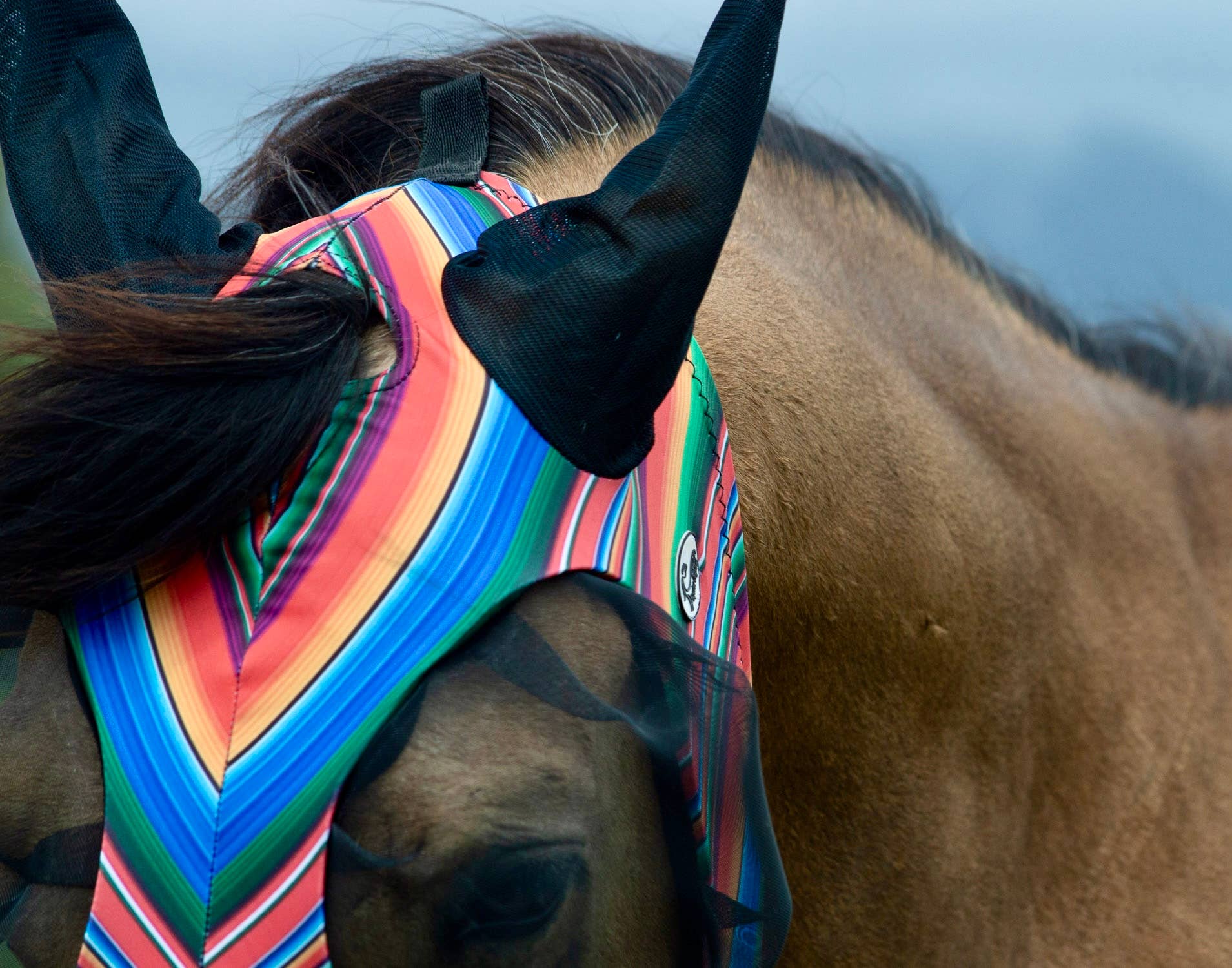 Schulz Equine - Wholesale Horseback Riding Gear - Lycra Fly Mask52