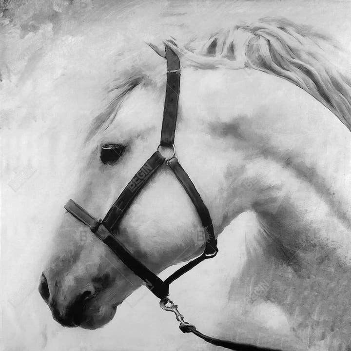 Svart Darius hästen | Invändig kudde 20 ”x 20" för wholesale på Faire