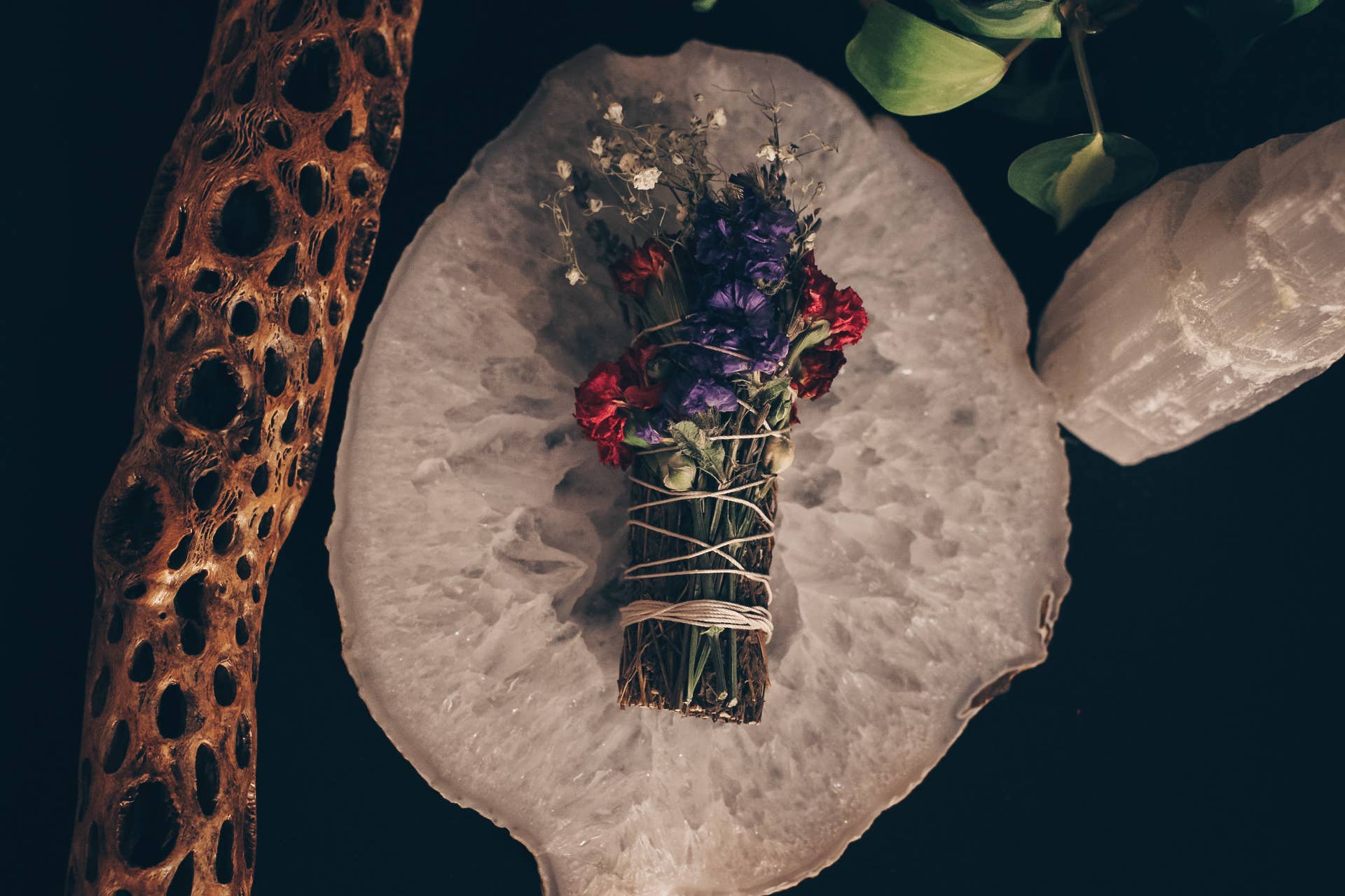 Yolia Botanica - Vente Bâton de sauge - Lots d'armoise - Nettoyant la fumée - Sans sauge blanche1