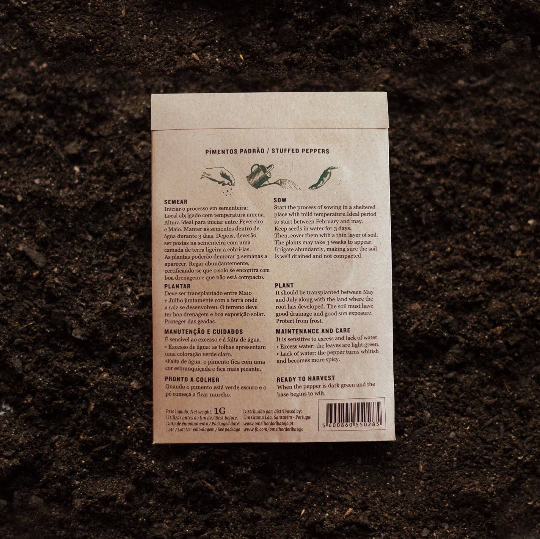 O Melhor do Ribatejo - Wholesale Plant Seeds - Padrón Pepper Seeds | From Portugal1