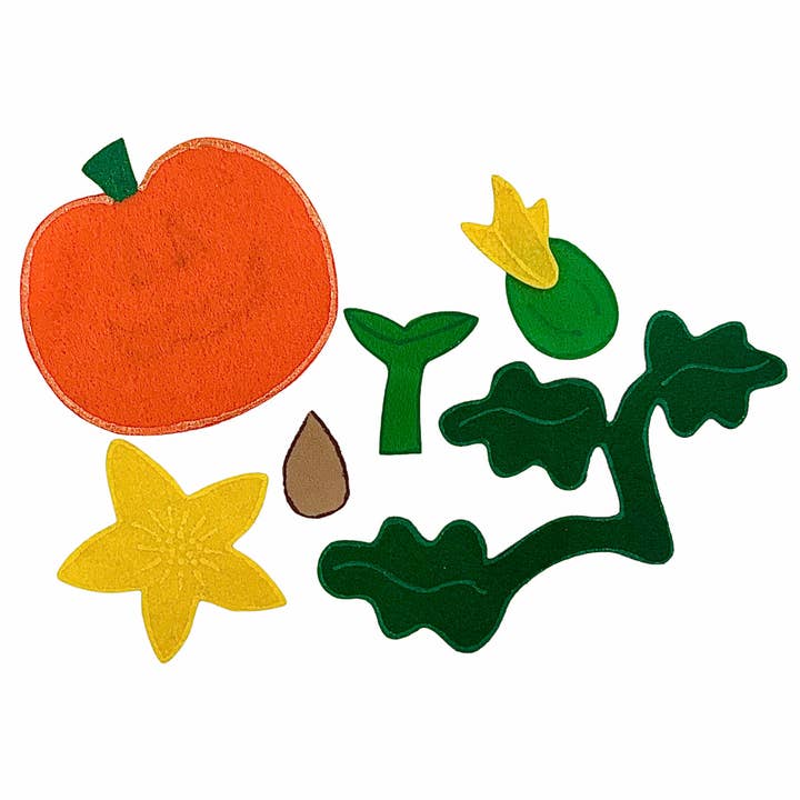 Levenscyclus van pompoen voor wholesale door Heartfelt Stories