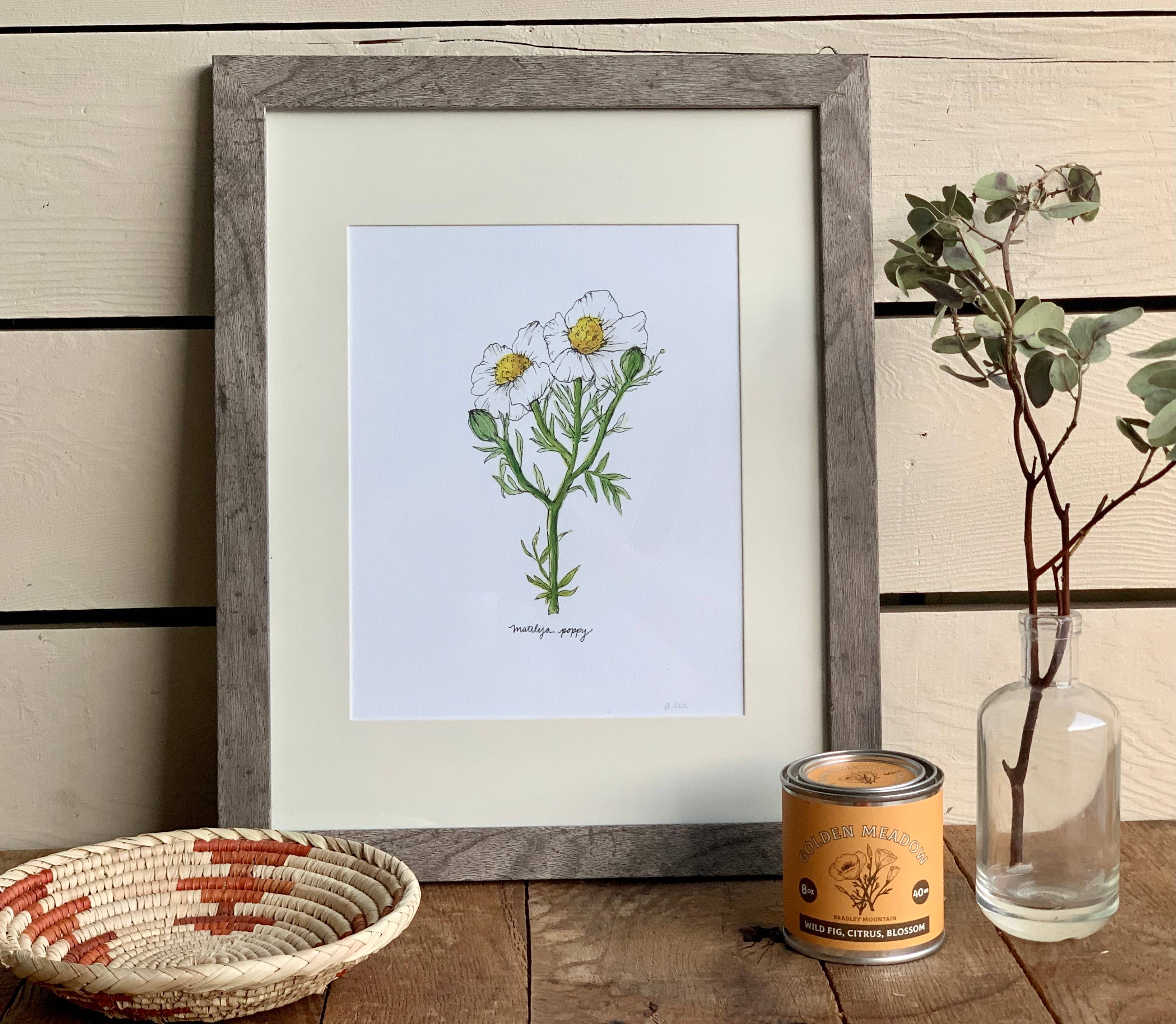 Little Salt Wagon - Wholesale Art Print - Matilija Poppy CA Wildflower Botanical Art Print Wall Decor4