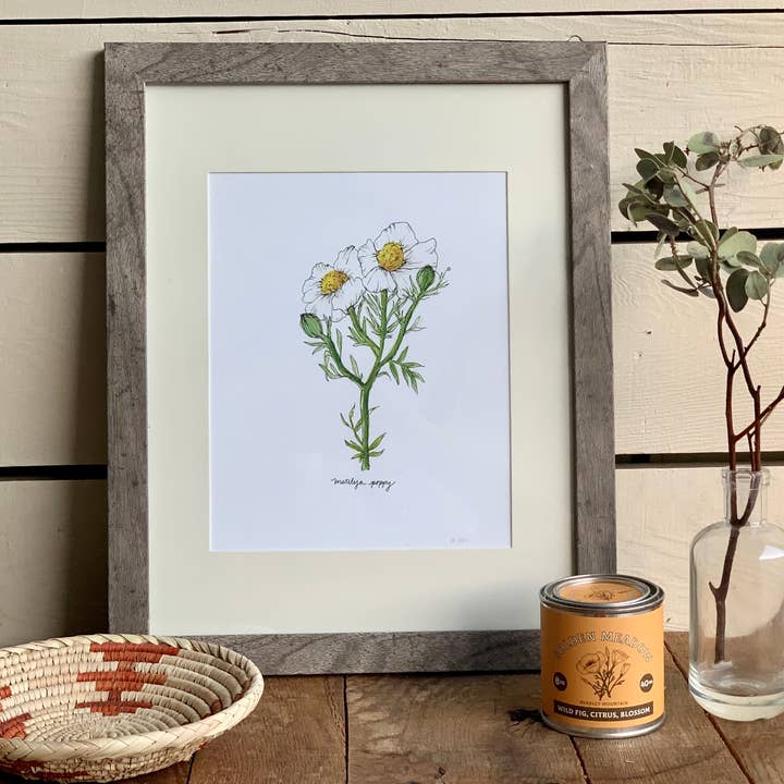 Little Salt Wagon - Wholesale Art Print - Matilija Poppy CA Wildflower Botanical Art Print Wall Decor4