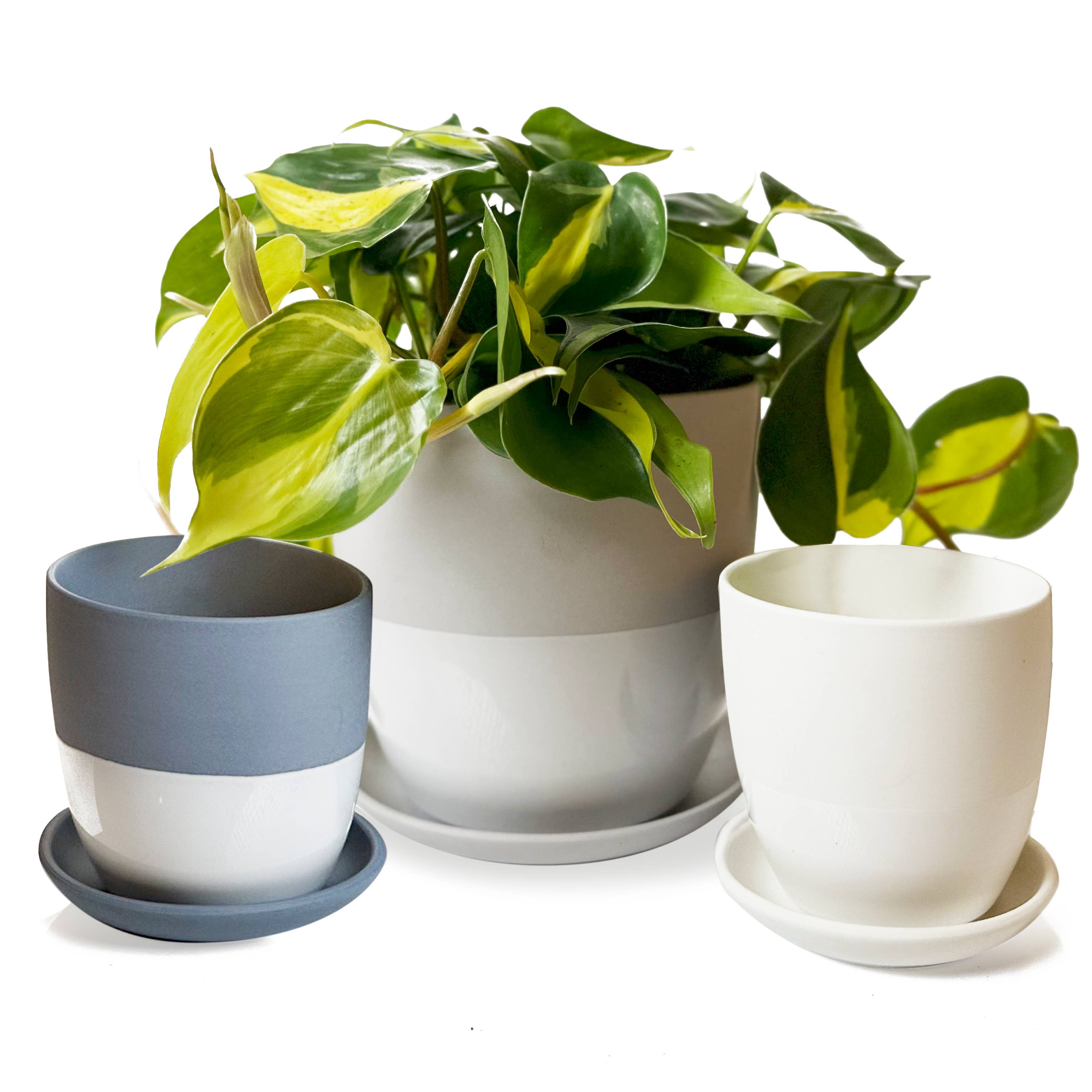 Chive - Vente Pot - Cache-pot en céramique Dyad Jardinières décoratives modernes avec soucoupe6