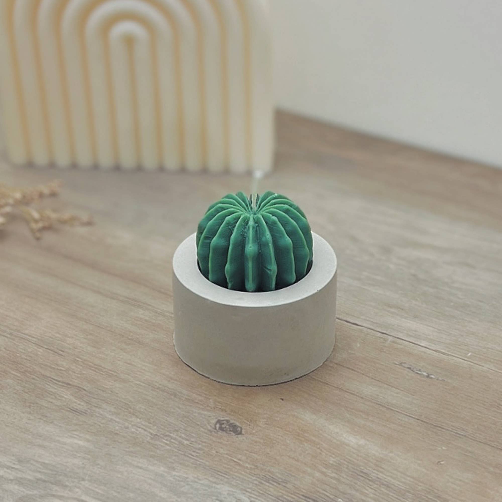Eli and Things – wholesale Novelty candle – Round Barrel Cactus Candle - Cactus Home Decor - Cacti Gifts0